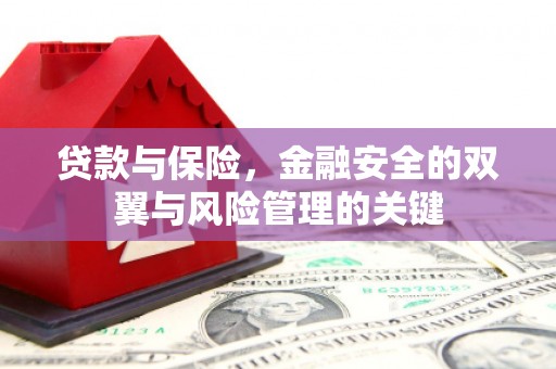 后里贷款与保险，金融安全的双翼与风险管理的关键