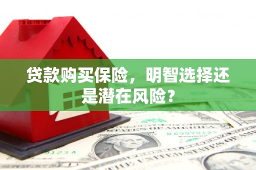 后里贷款购买保险，明智选择还是潜在风险？