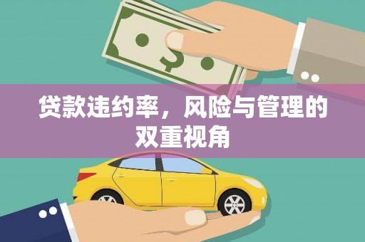 后里贷款违约率，风险与管理的双重视角