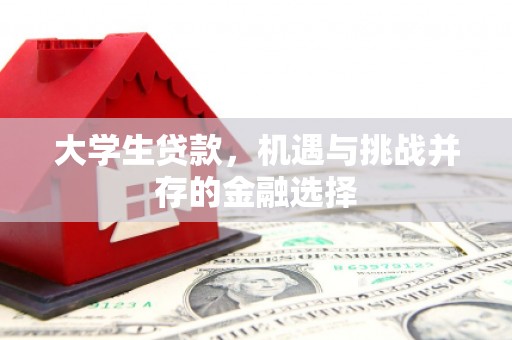 后里大学生贷款，机遇与挑战并存的金融选择