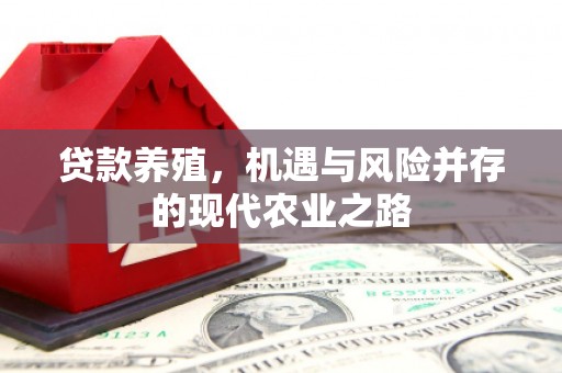 后里贷款养殖，机遇与风险并存的现代农业之路