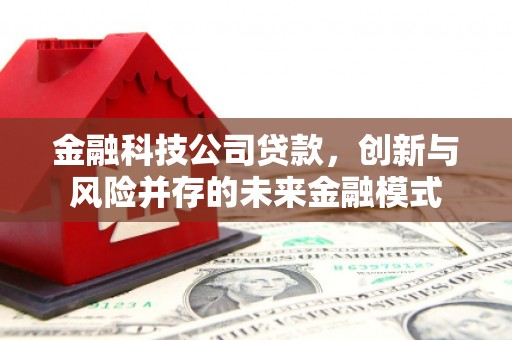 后里金融科技公司贷款，创新与风险并存的未来金融模式