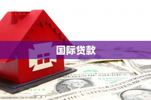 后里国际贷款