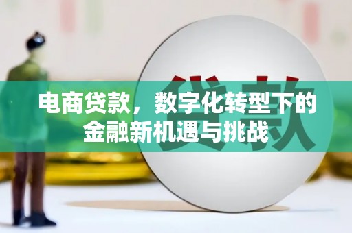 后里电商贷款，数字化转型下的金融新机遇与挑战