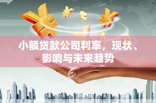 后里小额贷款公司利率，现状、影响与未来趋势