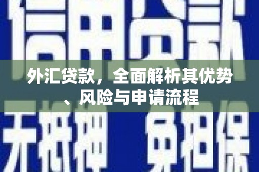 后里外汇贷款，全面解析其优势、风险与申请流程