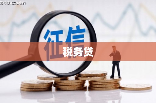 后里税务贷