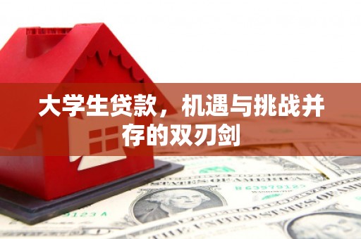 后里大学生贷款，机遇与挑战并存的双刃剑