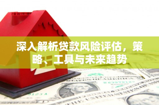 后里深入解析贷款风险评估，策略、工具与未来趋势