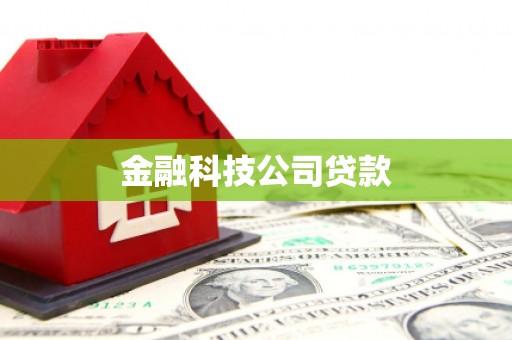 后里金融科技公司贷款