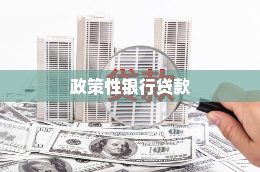 后里政策性银行贷款