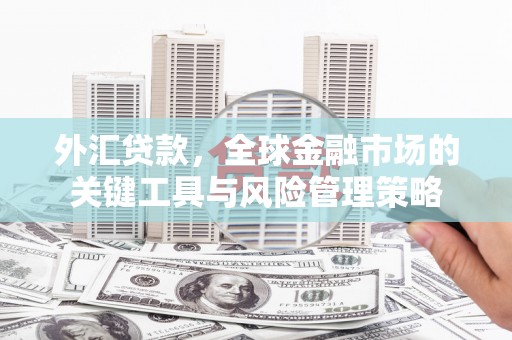 后里外汇贷款，全球金融市场的关键工具与风险管理策略