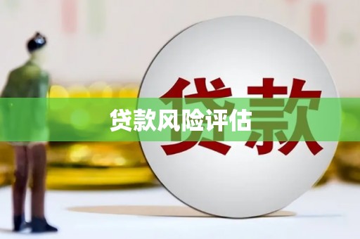 后里贷款风险评估
