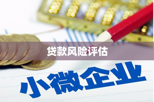 后里贷款风险评估