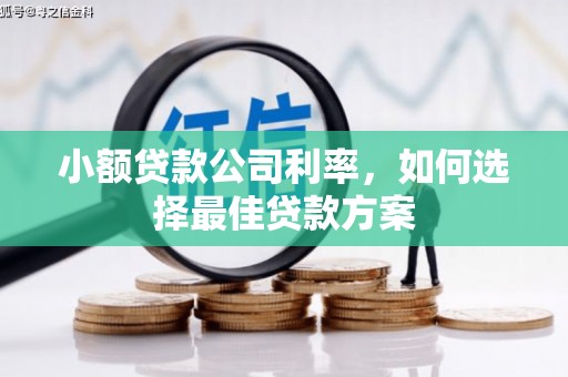 后里小额贷款公司利率，如何选择最佳贷款方案