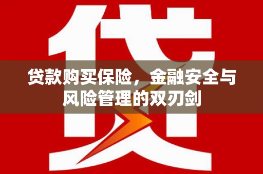 后里贷款购买保险，金融安全与风险管理的双刃剑