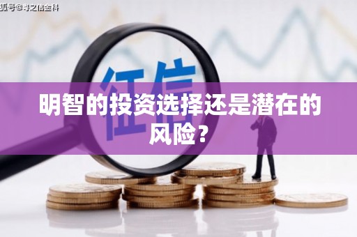 后里明智的投资选择还是潜在的风险？