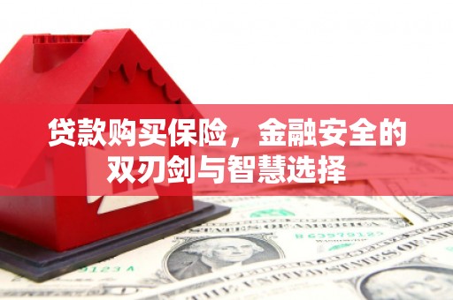 后里贷款购买保险，金融安全的双刃剑与智慧选择