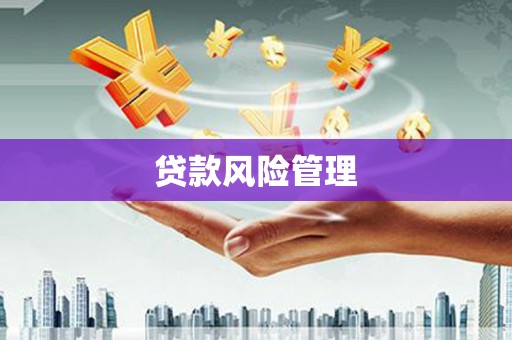 后里贷款风险管理
