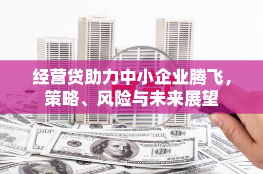 后里经营贷助力中小企业腾飞，策略、风险与未来展望