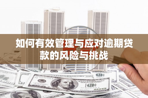 后里如何有效管理与应对逾期贷款的风险与挑战