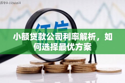 后里小额贷款公司利率解析，如何选择最优方案