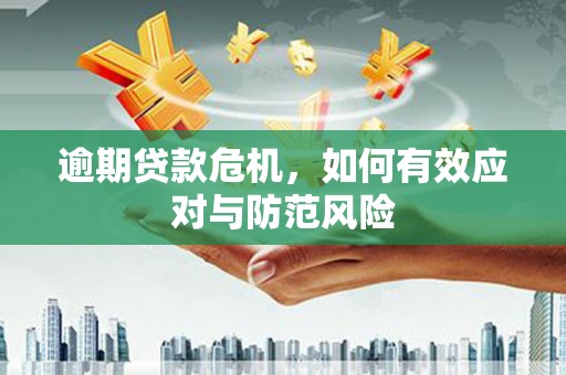 后里逾期贷款危机，如何有效应对与防范风险