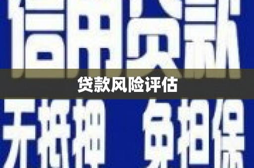 后里贷款风险评估