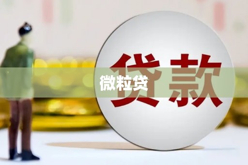 后里微粒贷