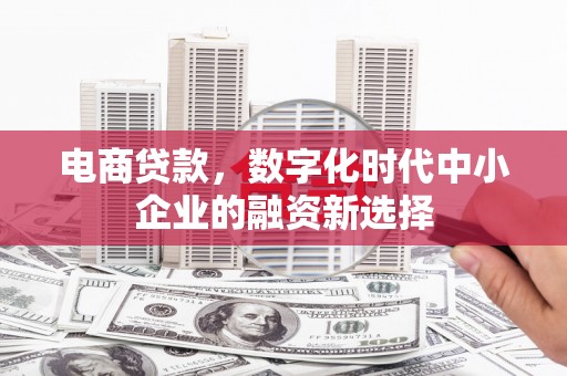 后里电商贷款，数字化时代中小企业的融资新选择