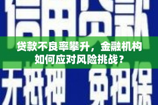 后里贷款不良率攀升，金融机构如何应对风险挑战？