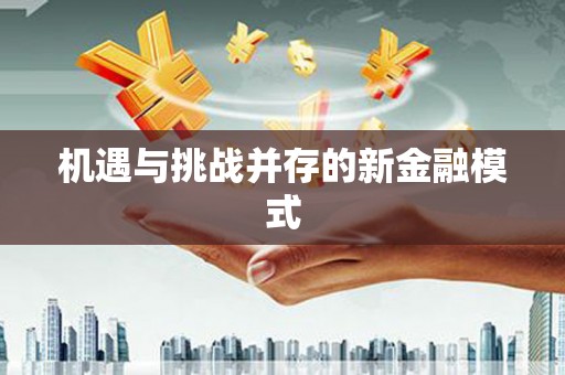 后里机遇与挑战并存的新金融模式