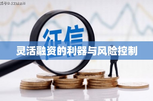 后里灵活融资的利器与风险控制