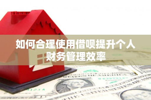 后里如何合理使用借呗提升个人财务管理效率