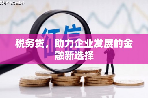 后里税务贷，助力企业发展的金融新选择