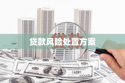 后里贷款风险处置方案