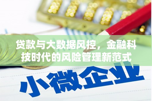 后里贷款与大数据风控，金融科技时代的风险管理新范式