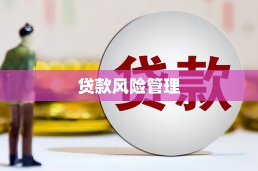 后里贷款风险管理