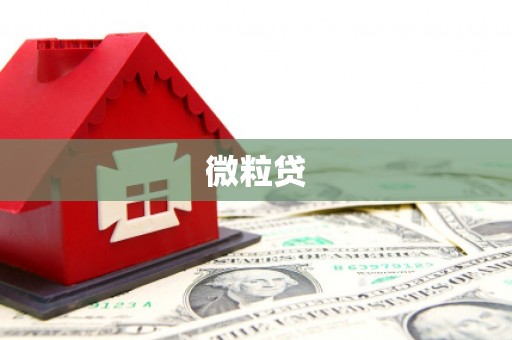 后里微粒贷