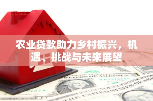 后里农业贷款助力乡村振兴，机遇、挑战与未来展望