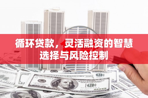 后里循环贷款，灵活融资的智慧选择与风险控制