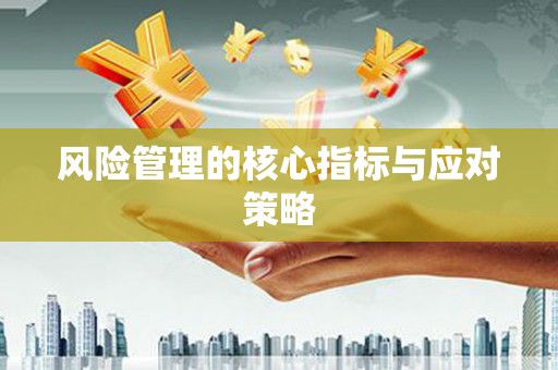 后里风险管理的核心指标与应对策略