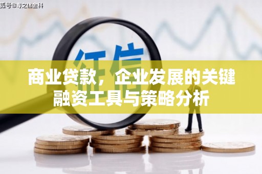 后里商业贷款，企业发展的关键融资工具与策略分析