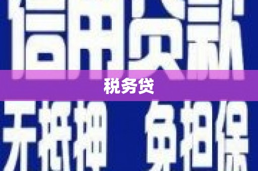 后里税务贷