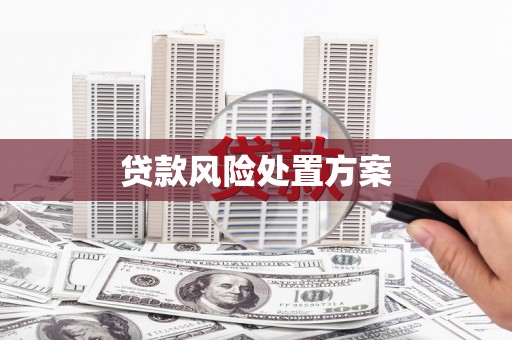 后里贷款风险处置方案