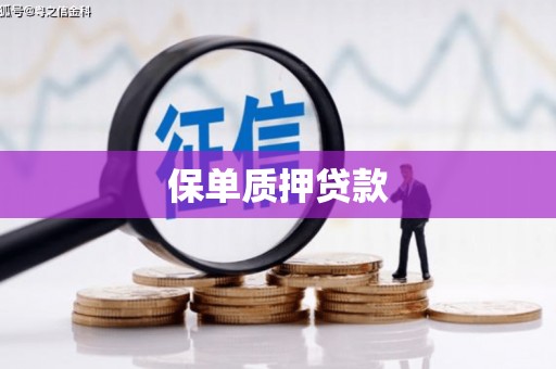 后里保单质押贷款