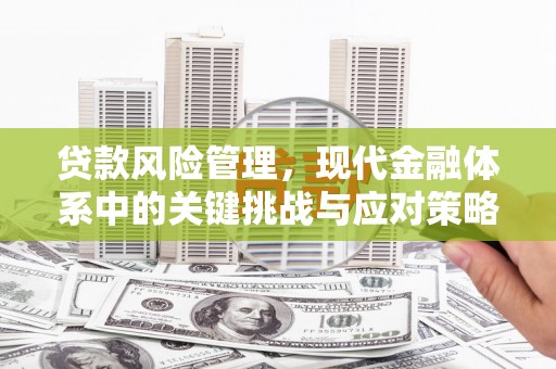 后里贷款风险管理，现代金融体系中的关键挑战与应对策略