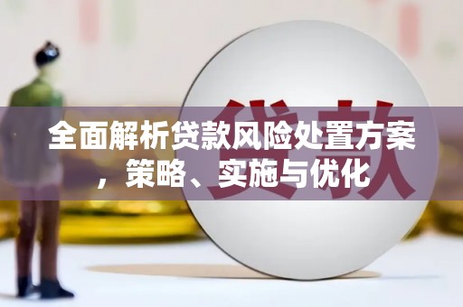 后里全面解析贷款风险处置方案，策略、实施与优化