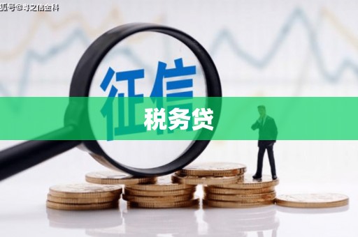 后里税务贷
