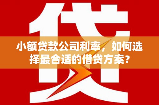 后里小额贷款公司利率，如何选择最合适的借贷方案？